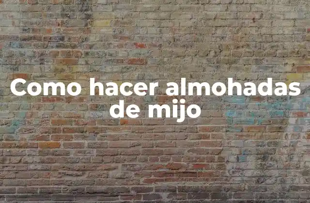 Como Hacer Almohadas de Mijo