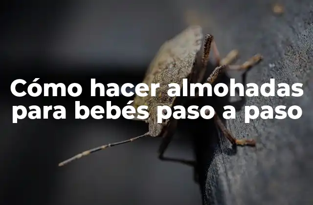 Cómo Hacer Almohadas para Bebés Paso a Paso