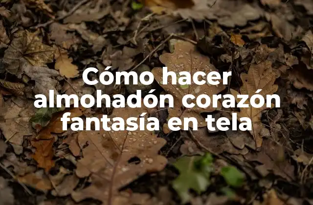 Cómo Hacer Almohadón Corazón Fantasía en Tela