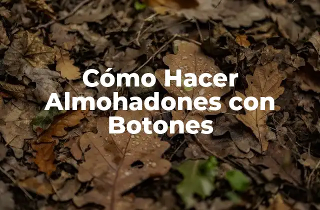 Cómo Hacer Almohadones con Botones