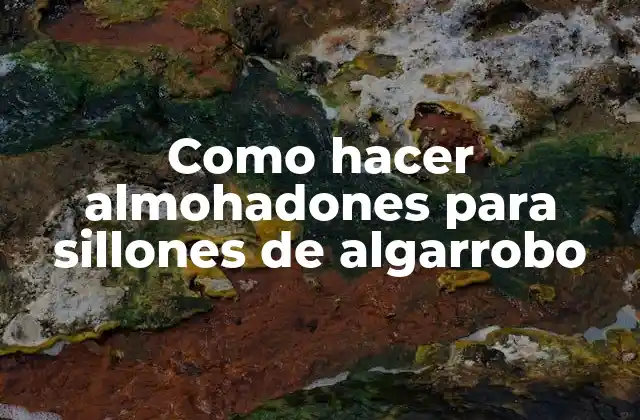 Como Hacer Almohadones para Sillones de Algarrobo