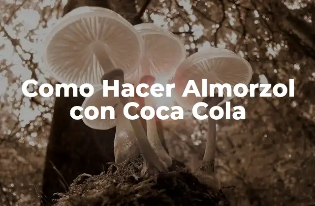 Como Hacer Almorzol con Coca Cola