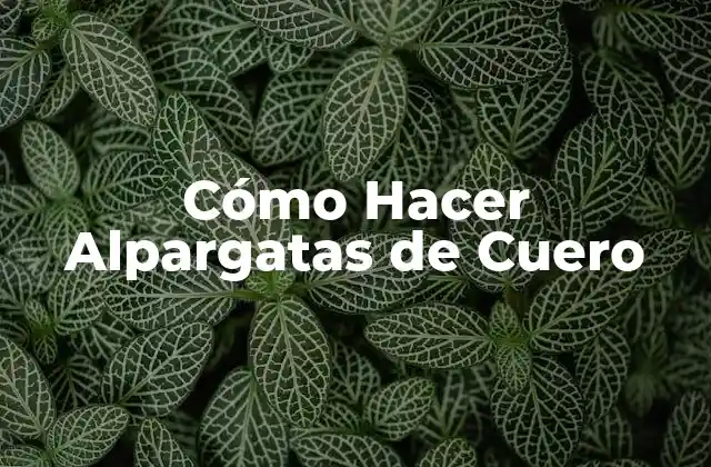 Cómo Hacer Alpargatas de Cuero 2 ¿Qué son las Alpargatas de Cuero?
