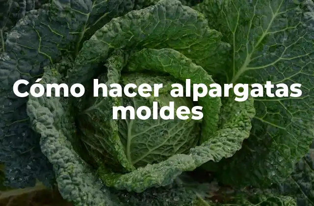 Cómo Hacer Alpargatas Moldes