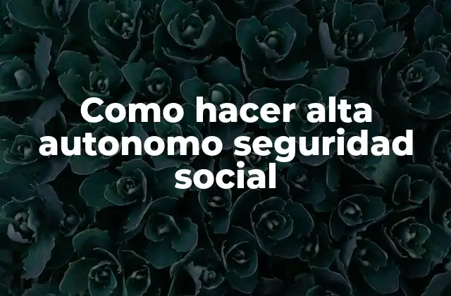 Como Hacer Alta Autonomo Seguridad Social