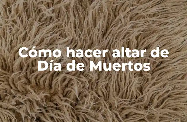 Cómo Hacer Altar de Día de Muertos