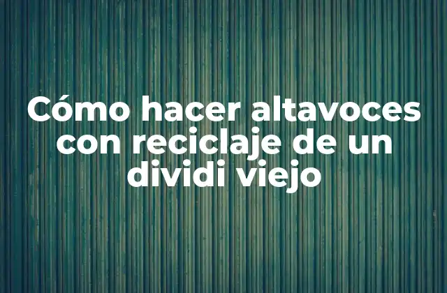 Cómo Hacer Altavoces con Reciclaje de un Dividi Viejo
