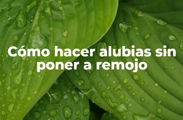 Cómo Hacer Alubias sin Poner a Remojo