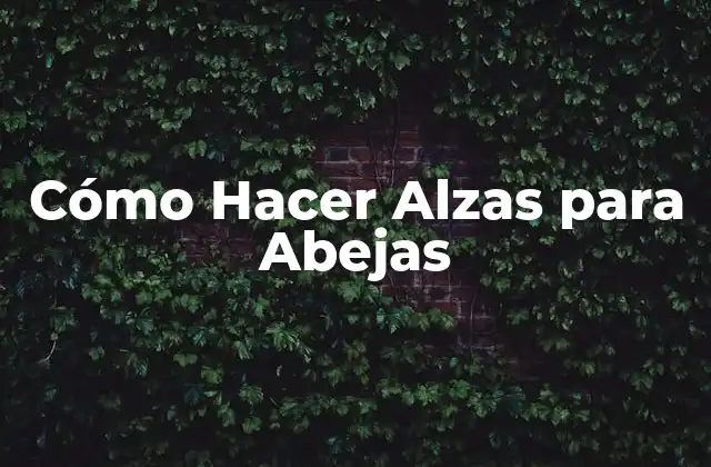 Cómo Hacer Alzas para Abejas