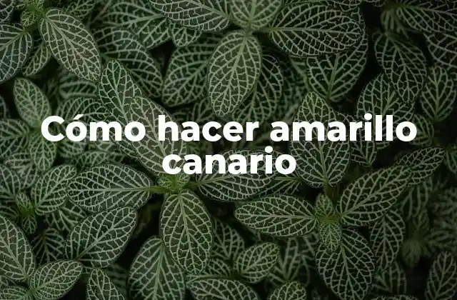 Cómo Hacer Amarillo Canario 2 Qué es el amarillo canario y para qué sirve