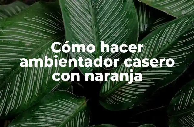 Cómo Hacer Ambientador Casero con Naranja