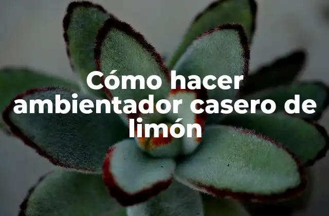 Cómo Hacer Ambientador Casero de Limón