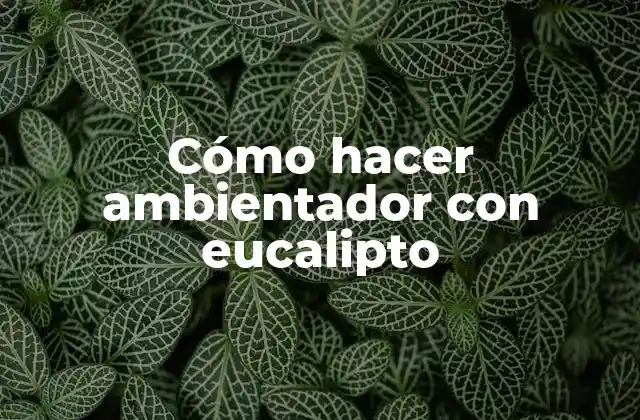 Cómo Hacer Ambientador con Eucalipto