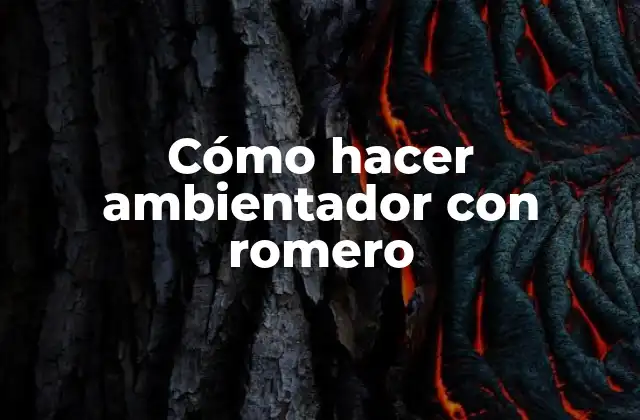 Cómo Hacer Ambientador con Romero