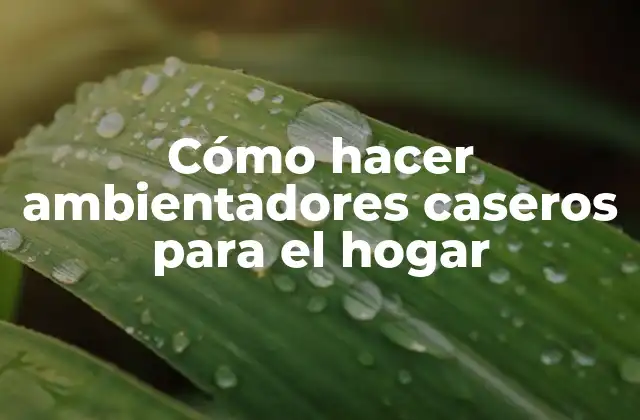 Ambientadores caseros para el hogar