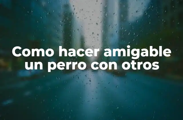 Como Hacer Amigable un Perro con Otros