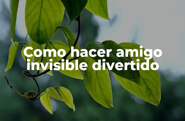 Como Hacer Amigo Invisible Divertido