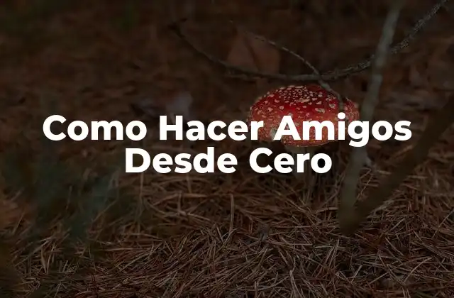 Como Hacer Amigos desde Cero