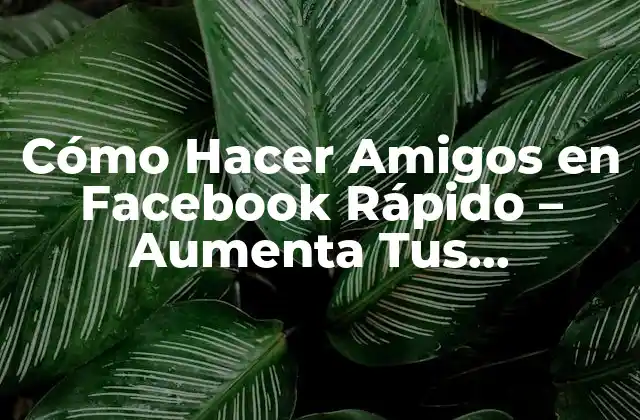 Cómo Hacer Amigos en Facebook Rápido – Aumenta Tus Conexiones en Línea