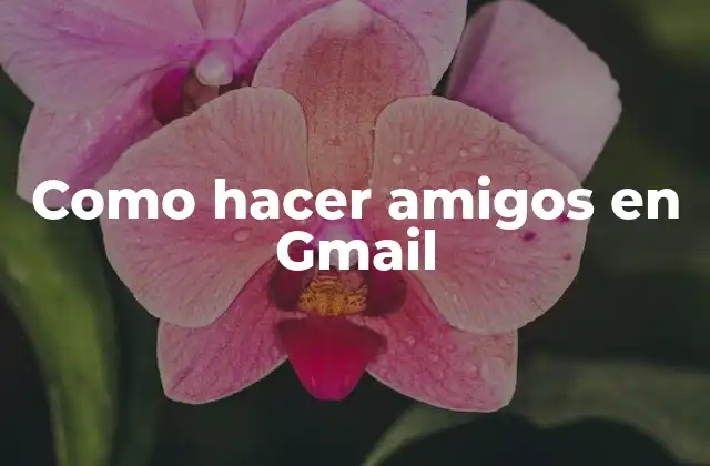 Como Hacer Amigos en Gmail