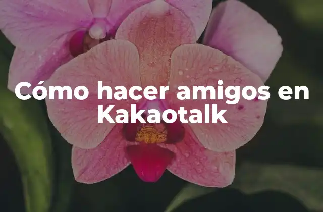Cómo Hacer Amigos en Kakaotalk