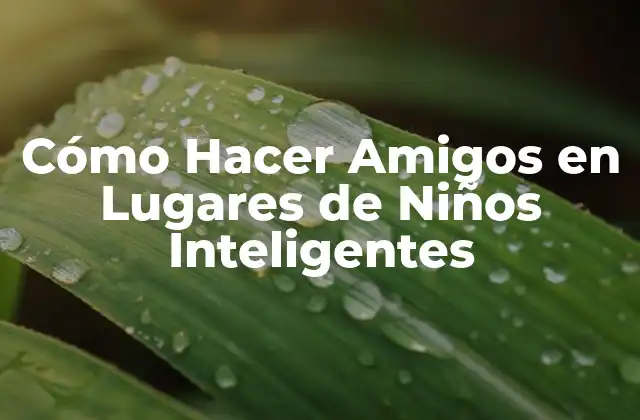 Cómo Hacer Amigos en Lugares de Niños Inteligentes