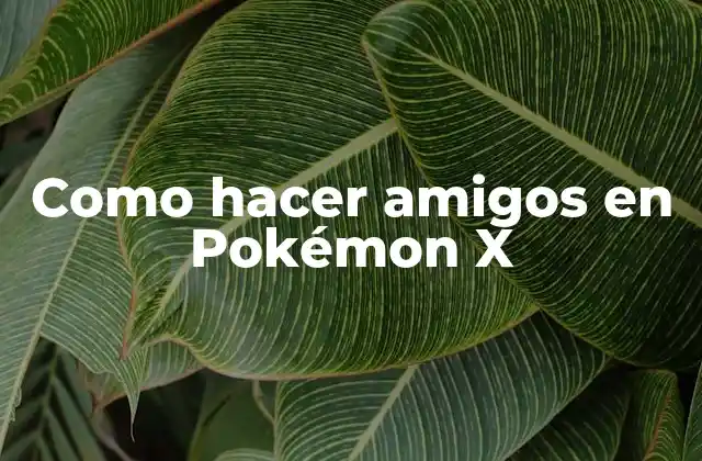 ¿Qué es tener amigos en Pokémon X?