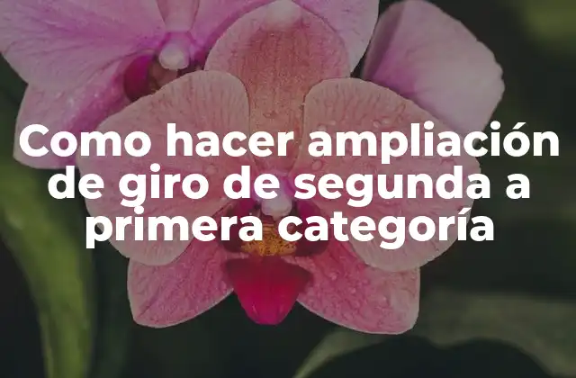 Como Hacer Ampliación de Giro de Segunda a Primera Categoría