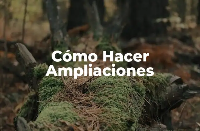 Cómo Hacer Ampliaciones