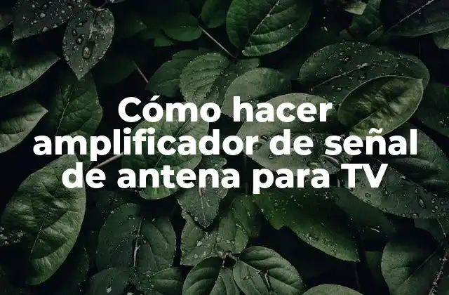 Cómo hacer amplificador de señal de antena para TV