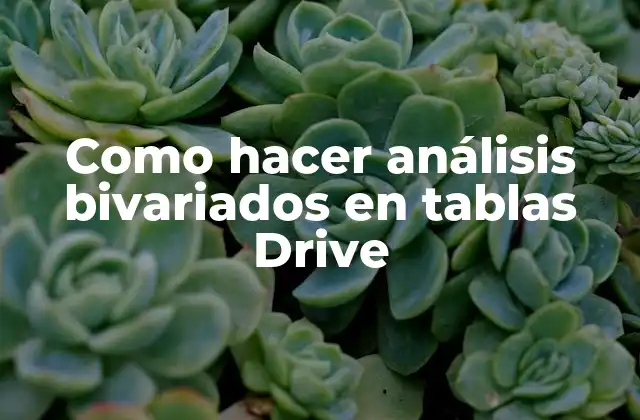 Como Hacer Análisis Bivariados en Tablas Drive