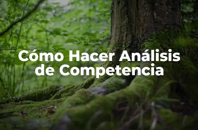 Cómo Hacer Análisis de Competencia