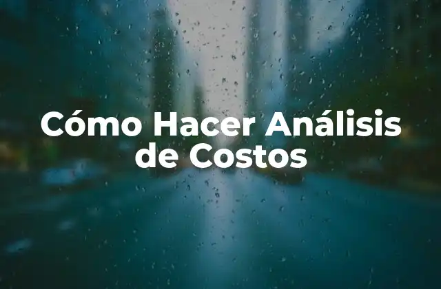 Cómo Hacer Análisis de Costos