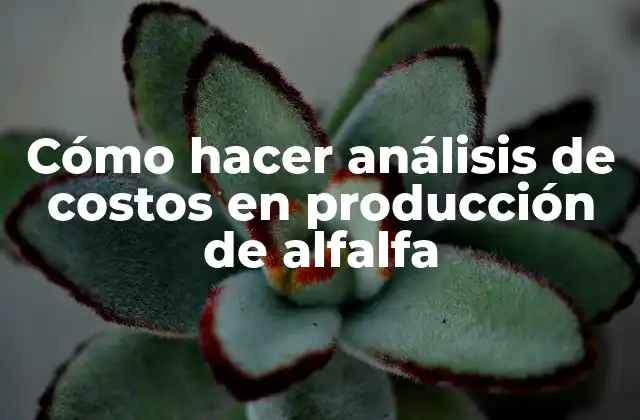 Cómo Hacer Análisis de Costos en Producción de Alfalfa