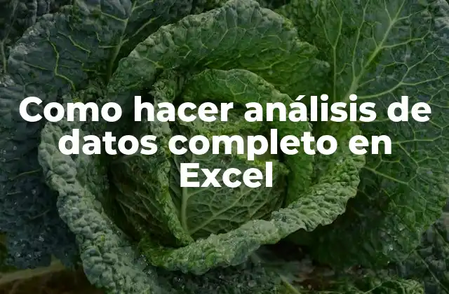 Como Hacer Análisis de Datos Completo en Excel