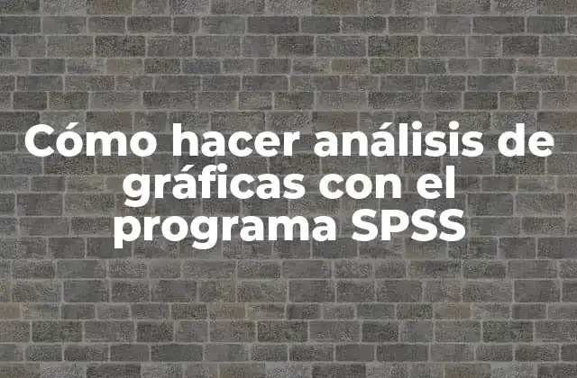 Análisis de gráficas con el programa SPSS