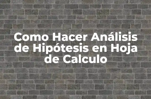 Como Hacer Análisis de Hipótesis en Hoja de Calculo