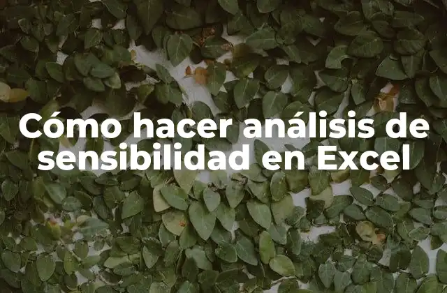 Cómo Hacer Análisis de Sensibilidad en Excel