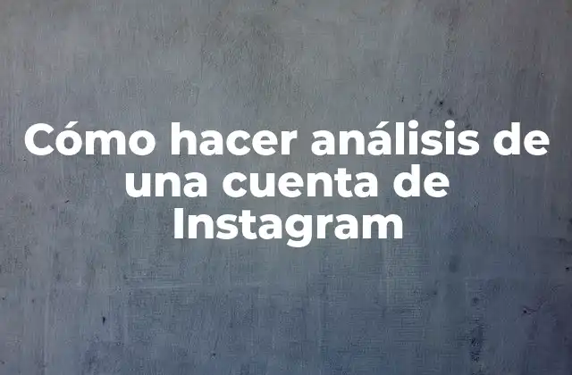 Cómo Hacer Análisis de una Cuenta de Instagram