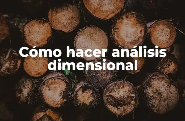Cómo Hacer Análisis Dimensional