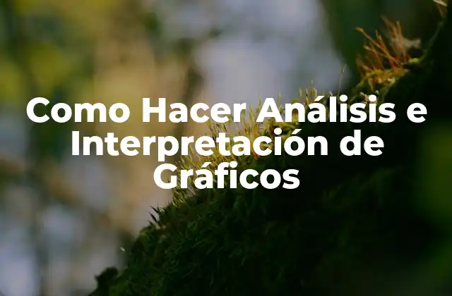 Como Hacer Análisis e Interpretación de Gráficos 2 Análisis e Interpretación de Gráficos