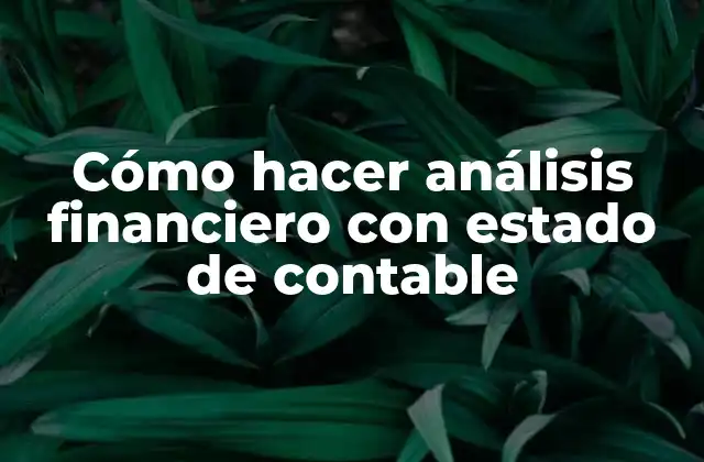 Cómo Hacer Análisis Financiero con Estado de Contable