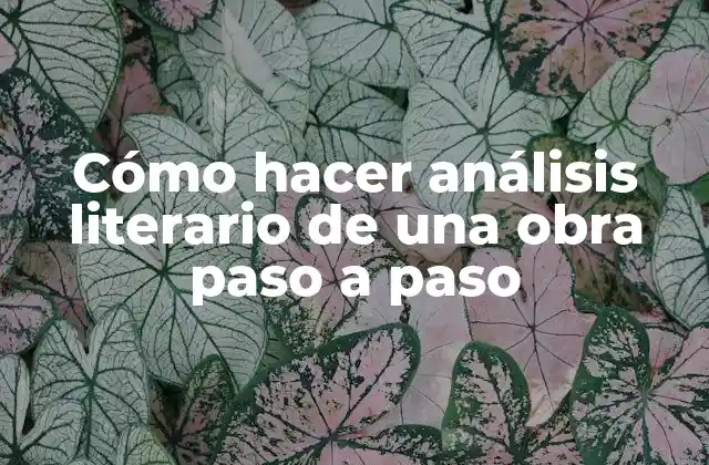 Cómo Hacer Análisis Literario de una Obra Paso a Paso
