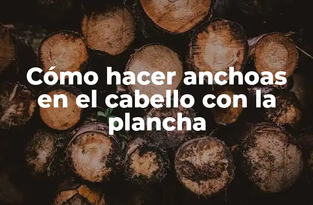Cómo Hacer Anchoas en el Cabello con la Plancha