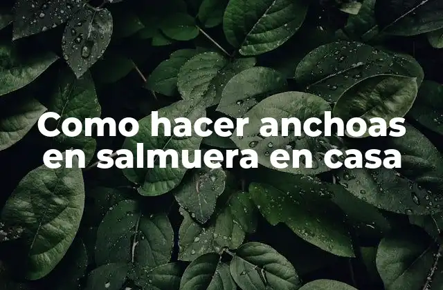 Como Hacer Anchoas en Salmuera en Casa