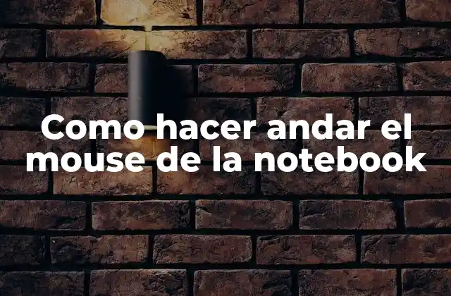 Como Hacer Andar el Mouse de la Notebook