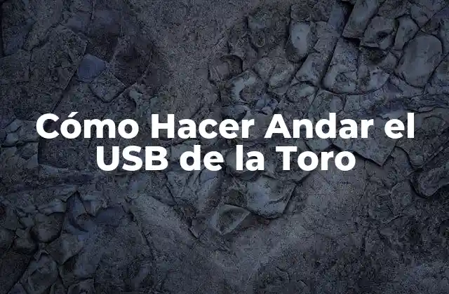 Cómo Hacer Andar el Usb de la Toro