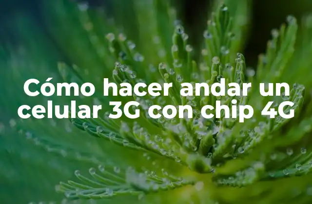 Cómo Hacer Andar un Celular 3g con Chip 4g 2 Cómo hacer andar un celular 3G con chip 4G: entiende la tecnología detrás de la compatibilidad