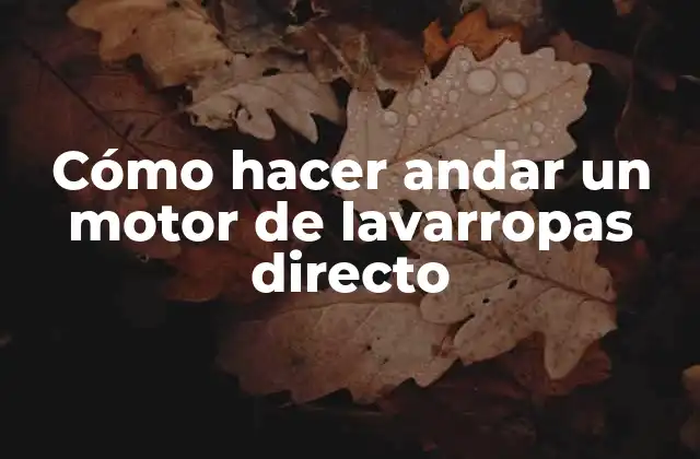 ¿Qué es un motor de lavarropas directo?