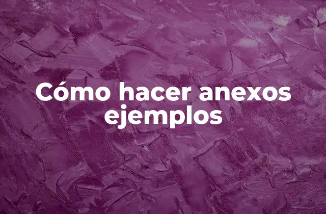 Cómo Hacer Anexos Ejemplos 2 Cómo hacer anexos ejemplos